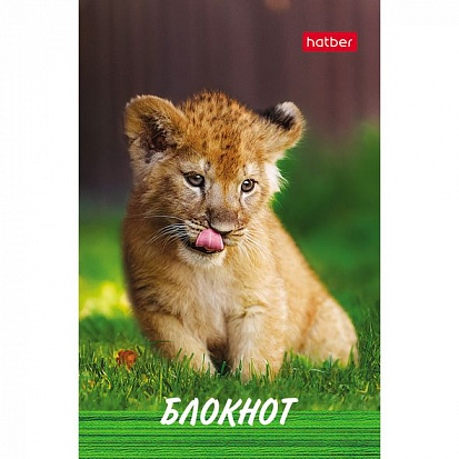Фото товара 050052 Блокнот ХАТБЕР А7 "ТИГРЕНОК", 48л, клетка, 3-х цв. блок, на клею (1/100) (48Б7B1к Тигренок) 