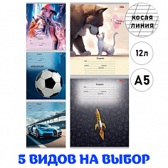 ПП-12-5566 Тетрадь 12л // МИКС 5566