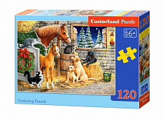 Пазлы B6-13340 Собрание, (120 деталей MIDI) Castor Land