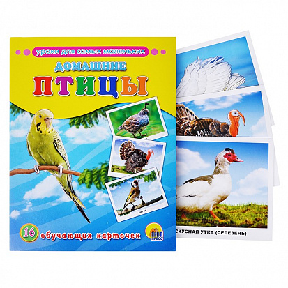 Фото товара ОБУЧАЮЩИЕ КАРТОЧКИ. ДОМАШНИЕ ПТИЦЫ