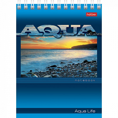 Фото товара 038365 Блокнот ХАТБЕР А6 "AQUA", 40л, клетка, гребень (40Б6B1гр Aqua) (038365)