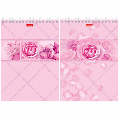 Фото товара Блокнот ХАТБЕР А5 96 л. клетка "ROSE" тонир.розовый, гребень (071137) (96Б5лВ1гр) (4/48)