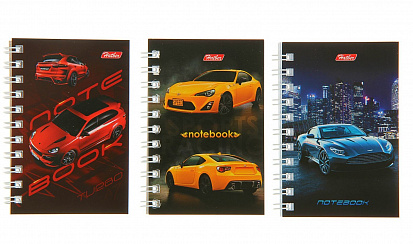 Фото товара 043276 Записная книжка ХАТБЕР А7 "АВТОПАНОРАМА" 40 л., клетка, 67х102мм, гребень (40ЗК7B1гр-автопано