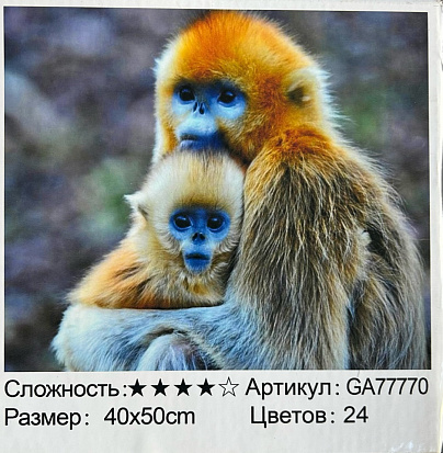 БиП 77770 Алмазная живопись 40*50 фото