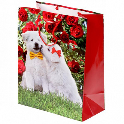 Фото CLRBG-DOGS2-03 Пакет подарочный глянцевый собаки, 33*46*20см в пак. Играем вместе уп-12шт