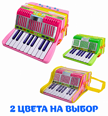 ZY052705 Аккордеон 2003-А в сумке