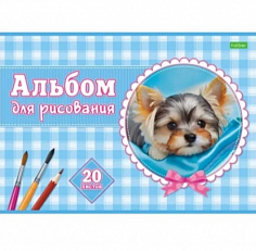 Х-20А4С (086130) Альбом 20л А4 -Милые мордашки- на скобе Hatber