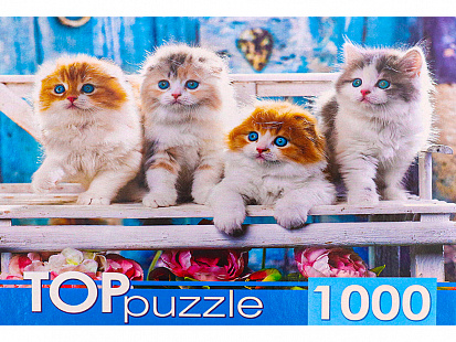 Фото товара ШТТП1000-4154 TOPpuzzle. ПАЗЛЫ 1000 элементов. ШТТП1000-4154 Котята скоттиш фолд