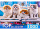 миниатюра ШТТП1000-4154 TOPpuzzle. ПАЗЛЫ 1000 элементов. ШТТП1000-4154 Котята скоттиш фолд