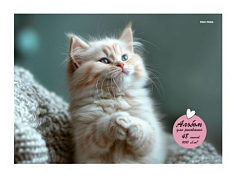 ПП-48-3946 Альбом 48л А4 МАЛЕНЬКИЙ ЗАБАВНЫЙ КОТ гребень