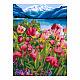 миниатюра LORI Ам-022 Алмазная мозаика 30*40 см (частичное заполнение) "Тюльпаны"
