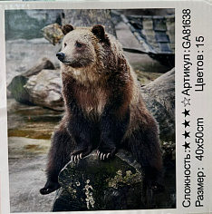 БиП 81638 Алмазная живопись 40*50 полная выкладка