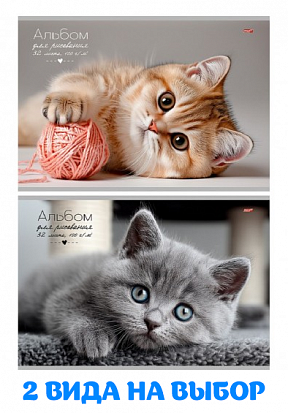 ПП-32-7254 Альбом 32л А4 КОТИК скрепка фото