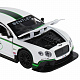 миниатюра 1251315JB ТМ "Автопанорама" Машинка металл., 1:32 Bentley Continental GT3, белый, инерция, свет, зву