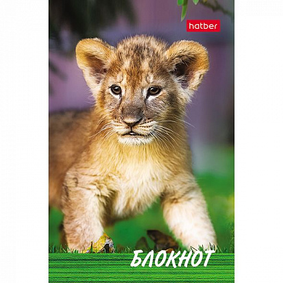 Фото товара 050052 Блокнот ХАТБЕР А7 "ТИГРЕНОК", 48л, клетка, 3-х цв. блок, на клею (1/100) (48Б7B1к Тигренок) 