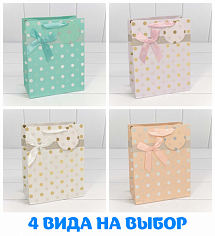 Пакет подарочный 18*23*10см ОМ000154Е