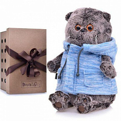 Ks22-130 Басик в голубом жилете