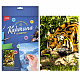 миниатюра LORI Кпн-137 Картина по номерам на картоне 20*28,5 см "Тигр в джунглях"