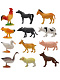 миниатюра 200661827 Игровой набор "Домашние животные" с картой обитания внутри (12 шт в наборе) (Zooграфия)