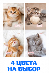 ПП-Б24-7168 Блокнот А6 24л. МИЛЫЕ КОТЯТА 1 скрепка