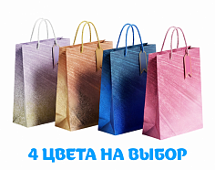 Пакет подарочный 26*32*10см ОМ000271С