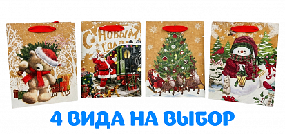 Пакет подарочный 18*23*10см ОМ300367Е фото