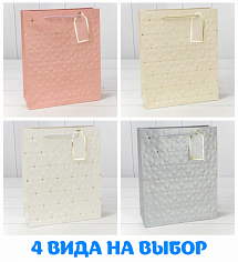 Пакет подарочный 26*32*12см ОМ000546С